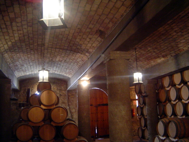 techos bodega