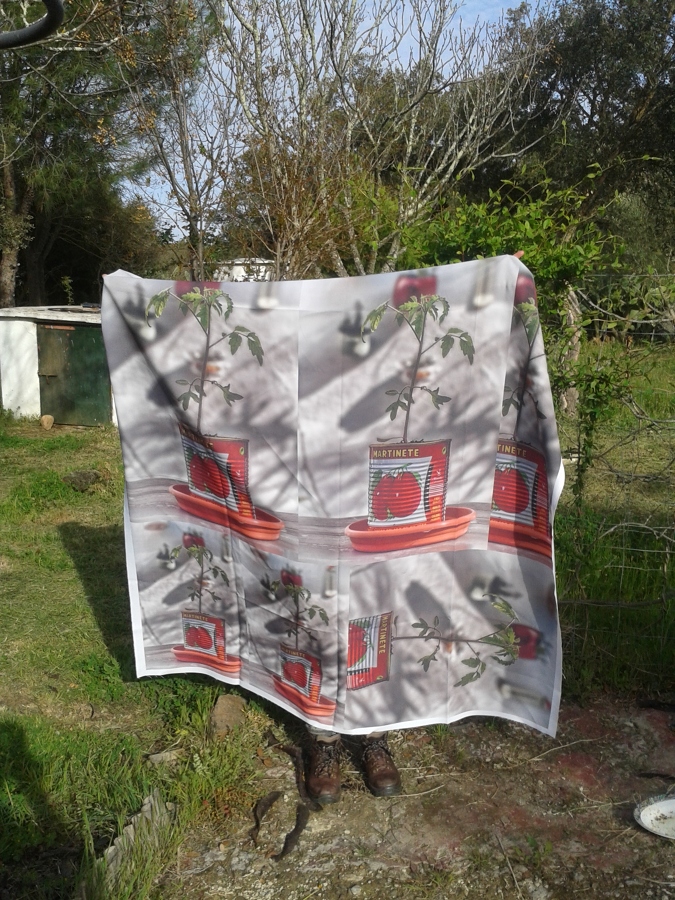 Tela estampada 