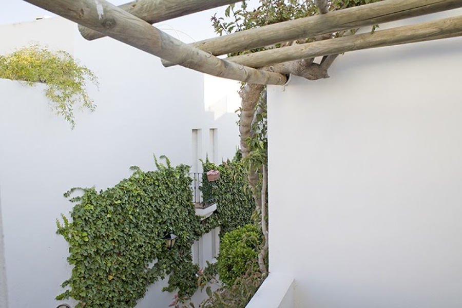 Terraza