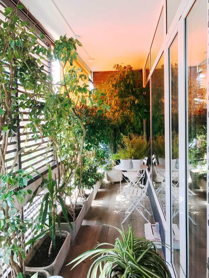 Terraza