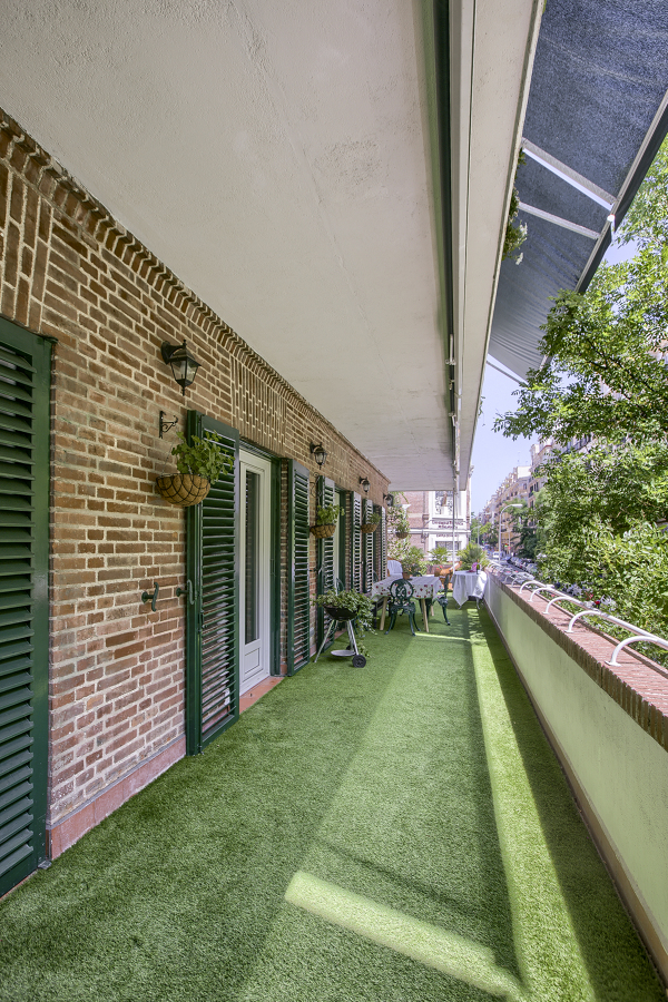 Terraza