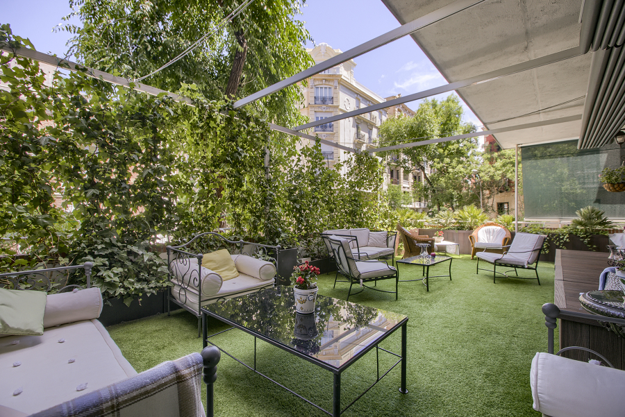 Terraza