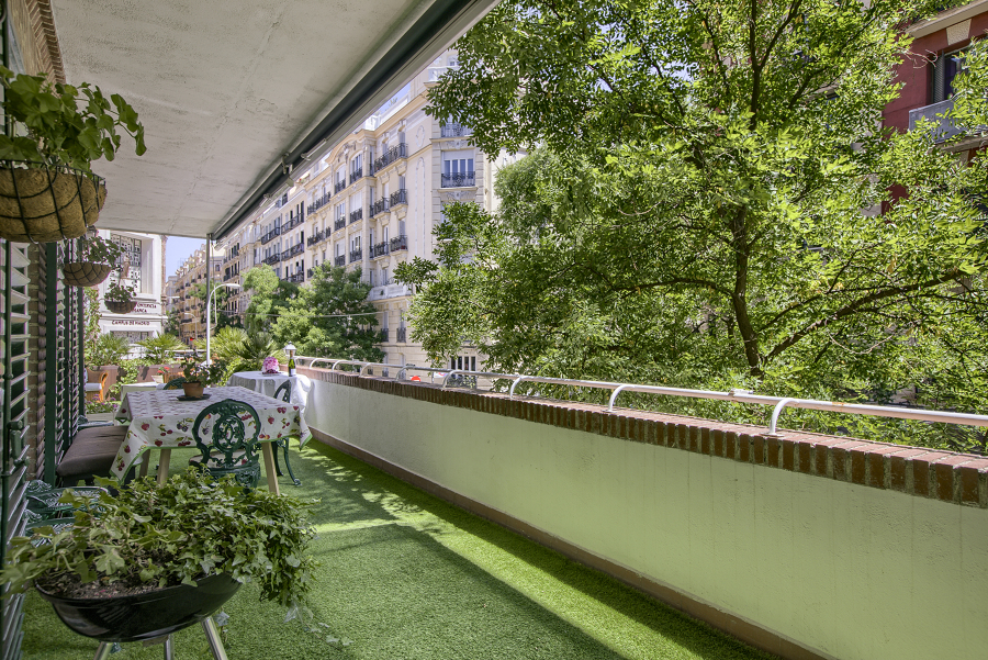 Terraza