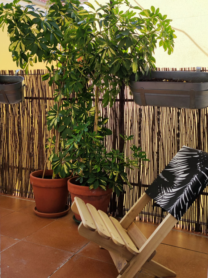 terraza