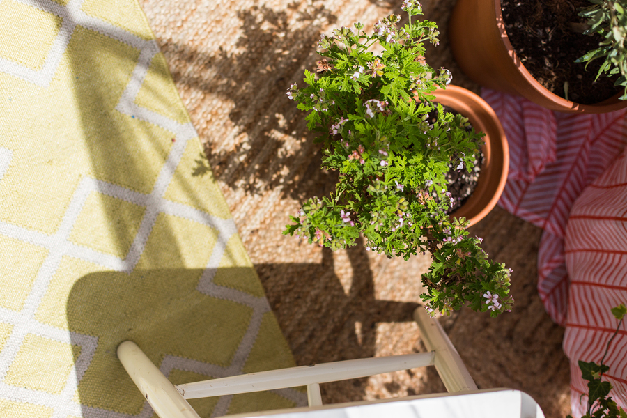 Terraza urbana