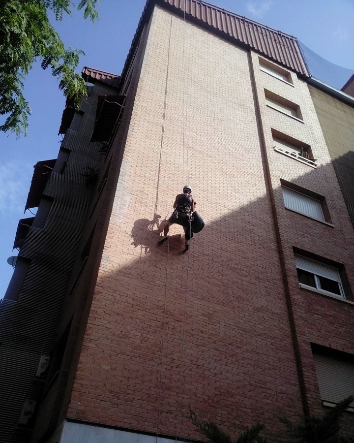 Trabajo vertical