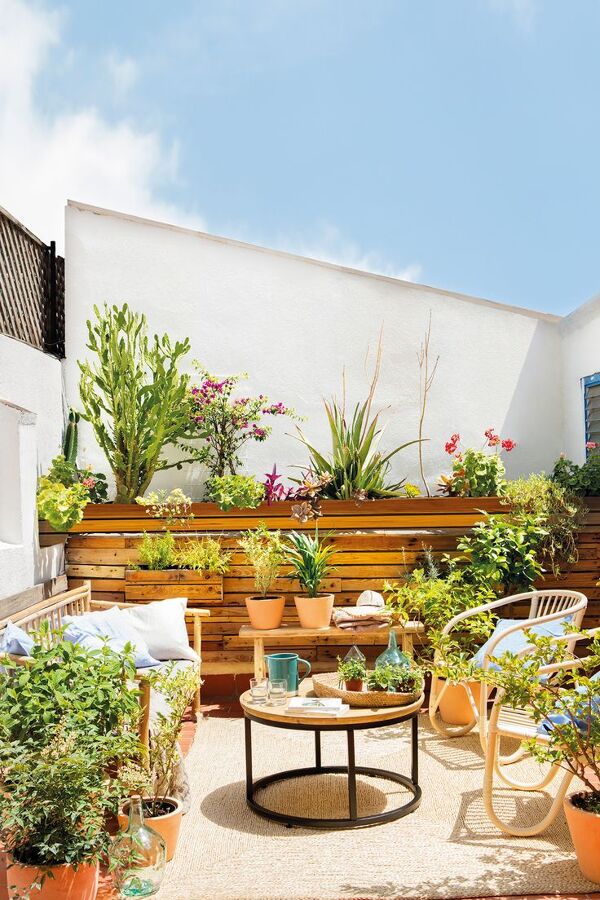 Tu jardín espectacular en menos de una semana