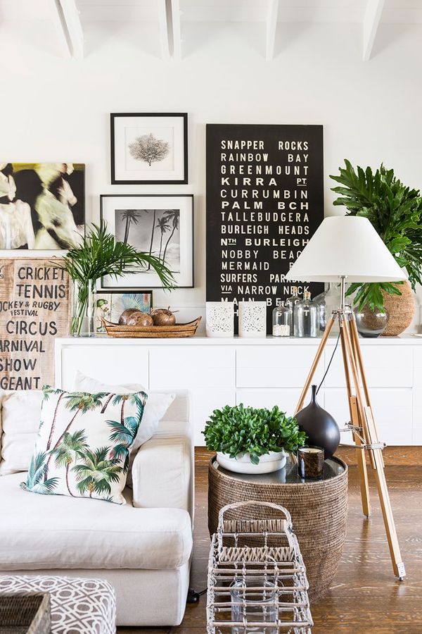 plantas en el salón