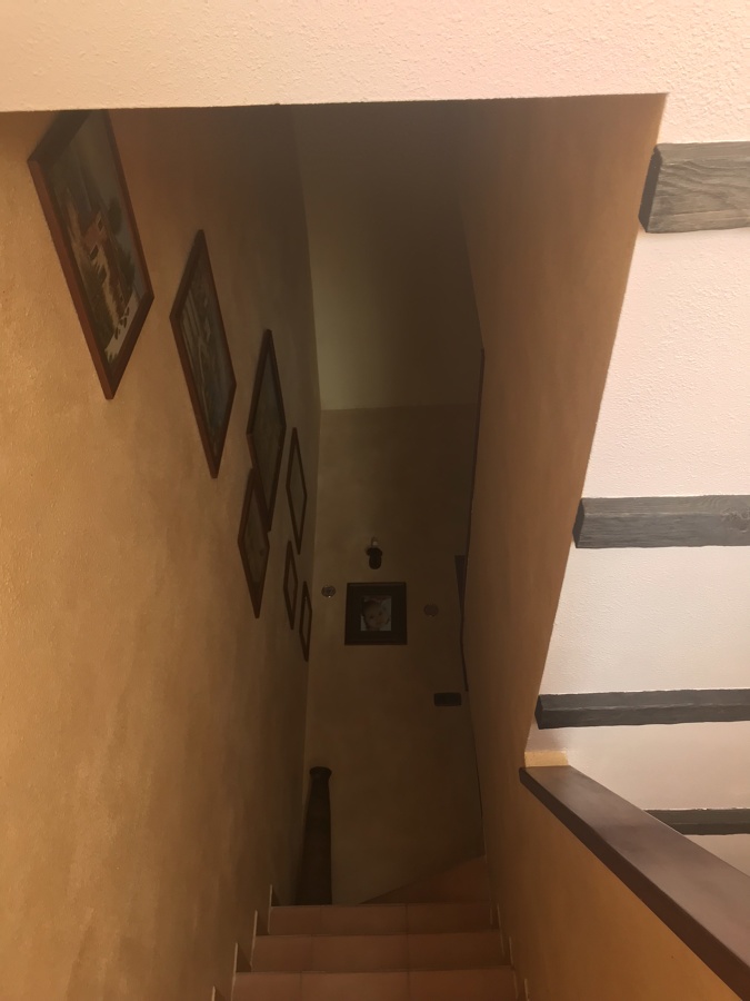 vestibulo