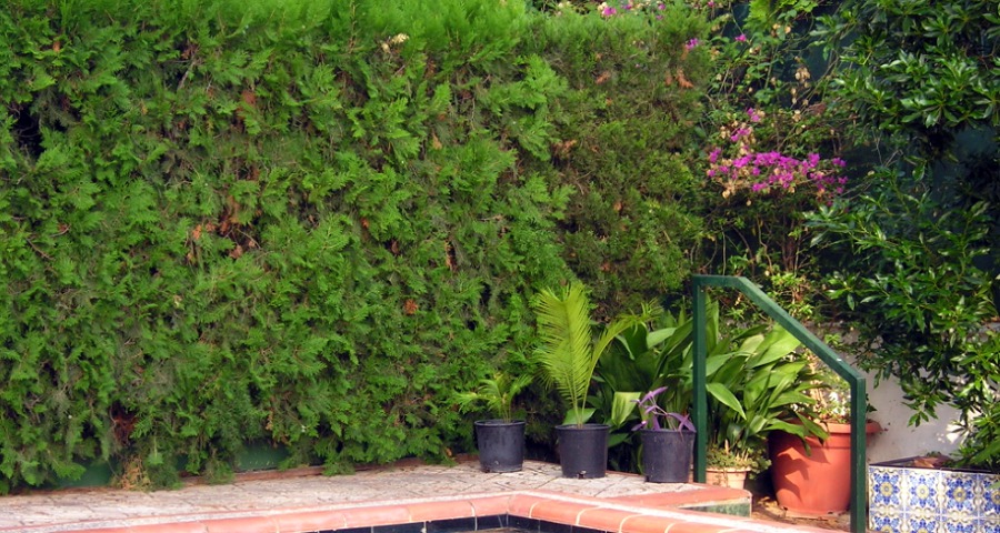 VISTA JARDIN