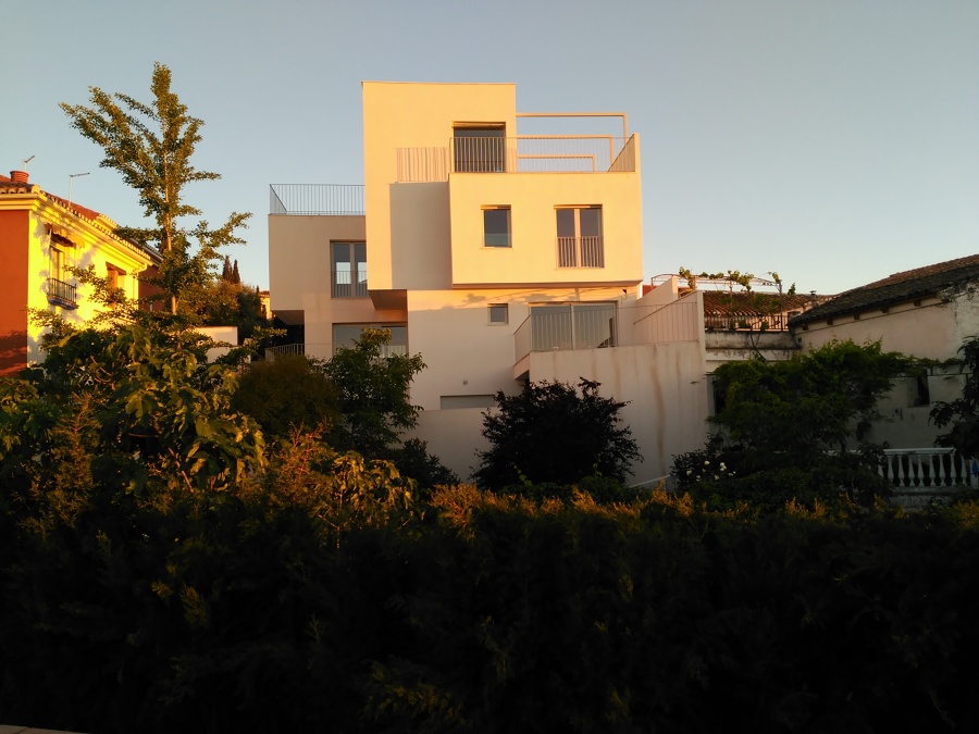 Vista trasera