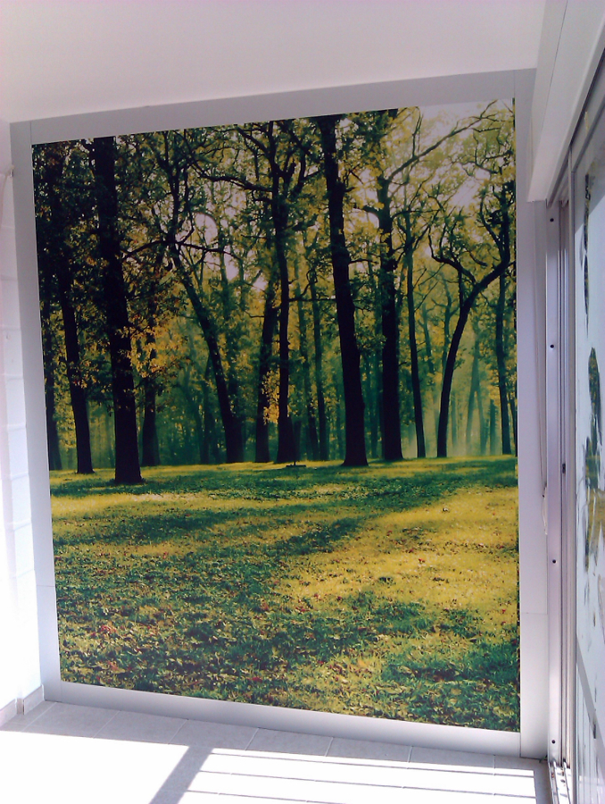 Vista vinilo 3