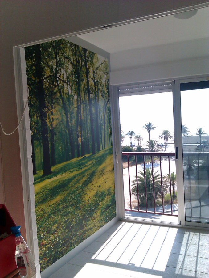 Vista vinilo 5