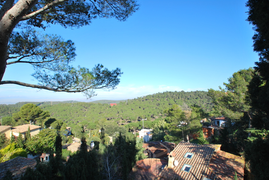 Vistas a 4 vientos.