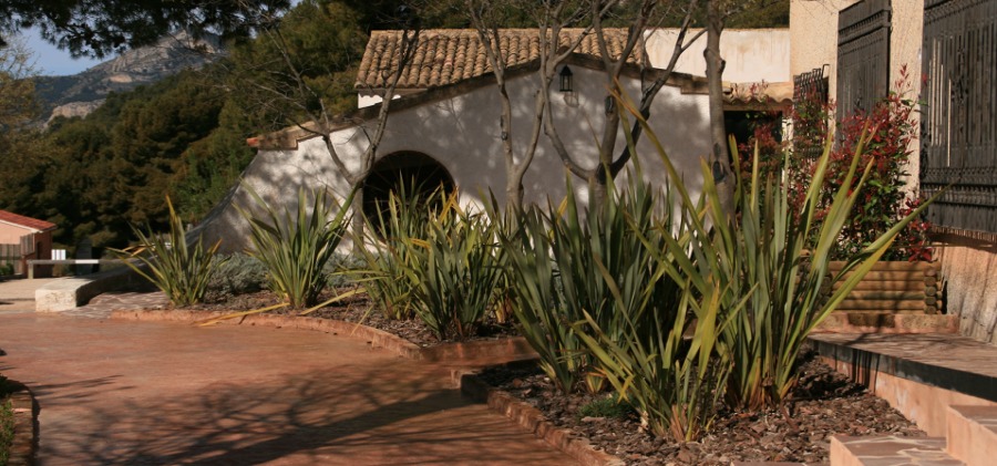 Xerojardinería