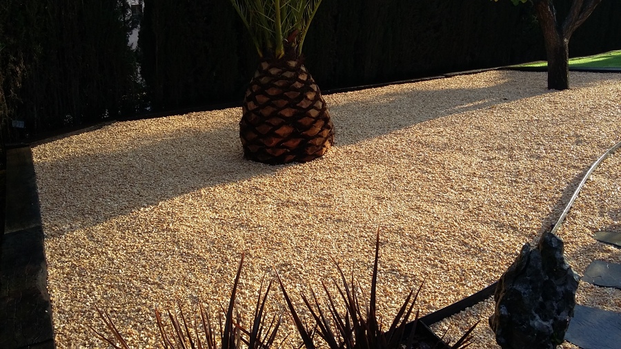 Zona palmera.