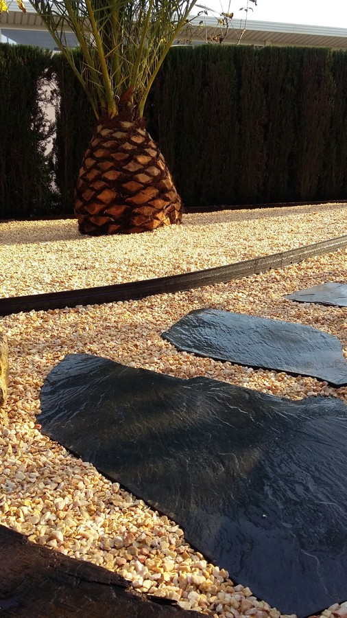 Zona palmera 