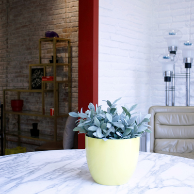 Decoración mesa
