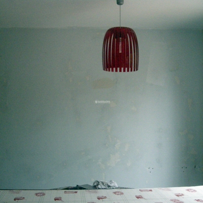 Papel Pintado