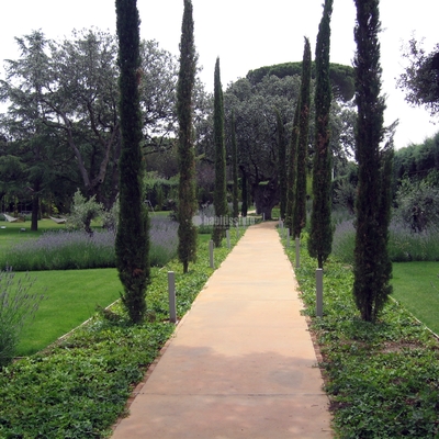 Jardines ejemplares