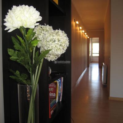 Reforma integral de vivienda particular