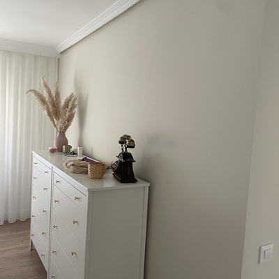 Alisado de paredes y pintura en vivienda
