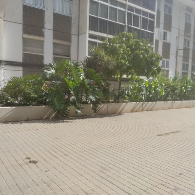 Limpieza de jardinera