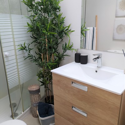BAÑO PPAL