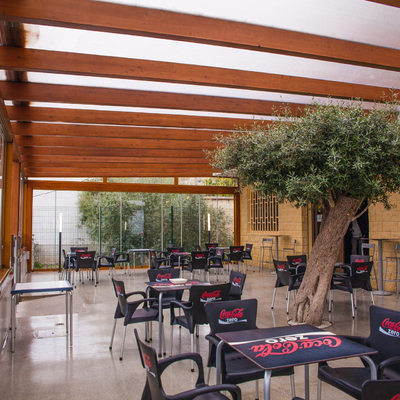 Bar El Olivo