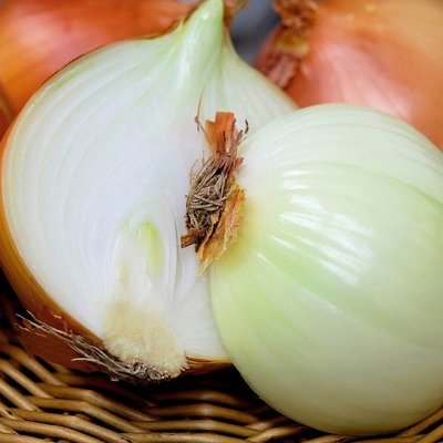 Cebollas