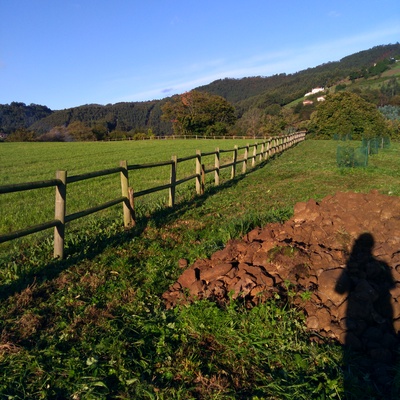 Obras en general
