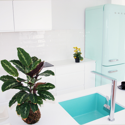 Ideas y Fotos de Reformas Cocinas para Inspirarte - Habitissimo