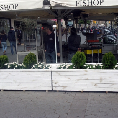 Fishop Pg