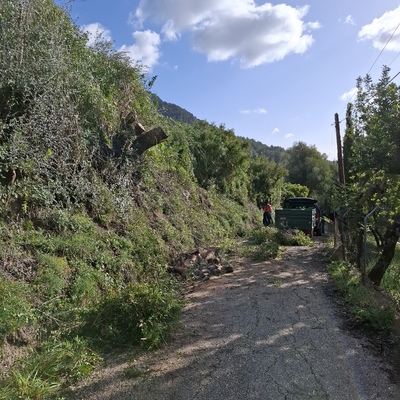 Durante el trabajo