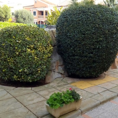 Jardines detallados