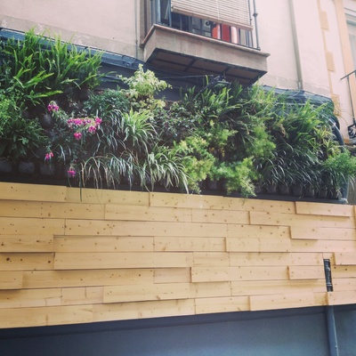 Fachada vegetal