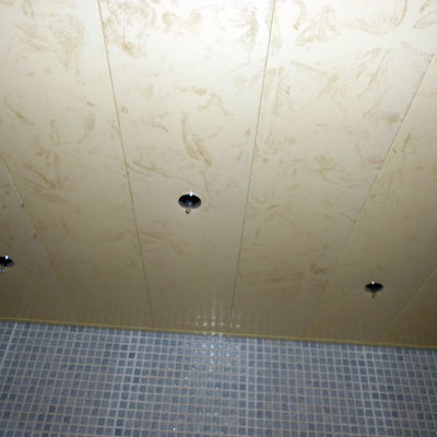 Falso techo baño