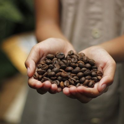 Granos de café