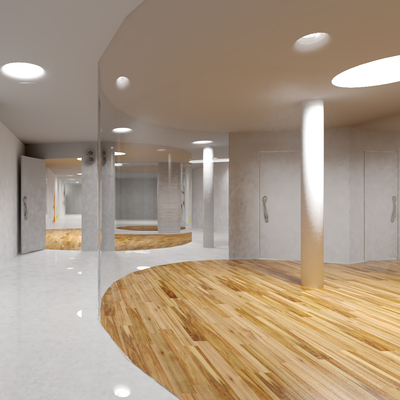 Diseño del gimnasio Haka Gym