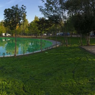 Trabajo de Jardineria