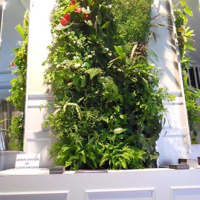 Casadecor 2010