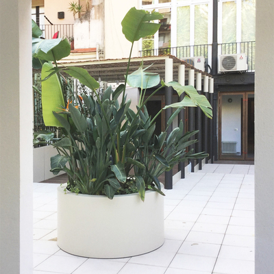 Jardinera principal