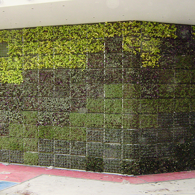 jardines verticales