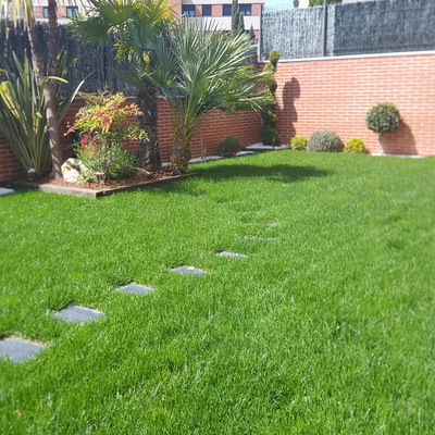 jpg 0011