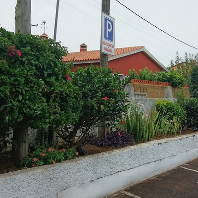 jardineria