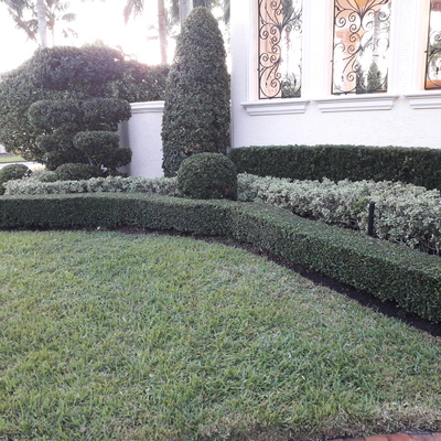 Mantenimiento de Jardines
