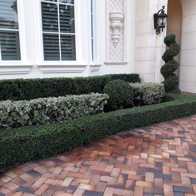 Mantenimiento de Jardines