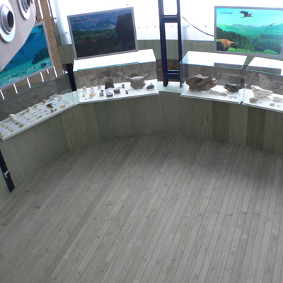 Museo de la Vida