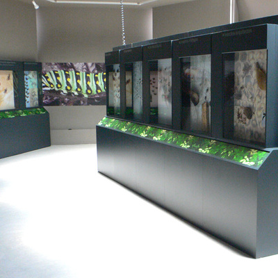 Museo de la Vida