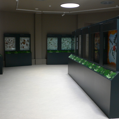 Museo de la Vida